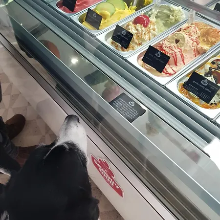 Cruck - Gorgeous 300 Year Old Mins From North Yorkshire Moors, Steam Trains And Picturesque *