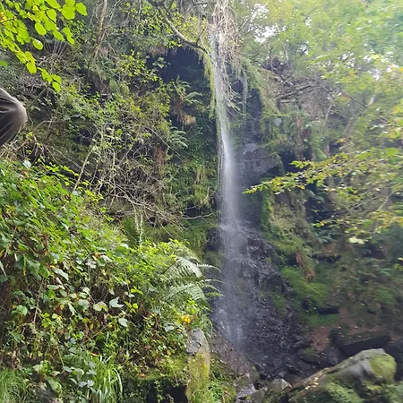 度假居 Cruck - Gorgeous 300 Year Old Mins From North Yorkshire Moors, Steam Trains And Picturesque